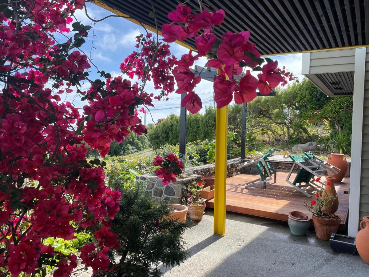 Under The Yellow Canopy Christchurch Luaran gambar